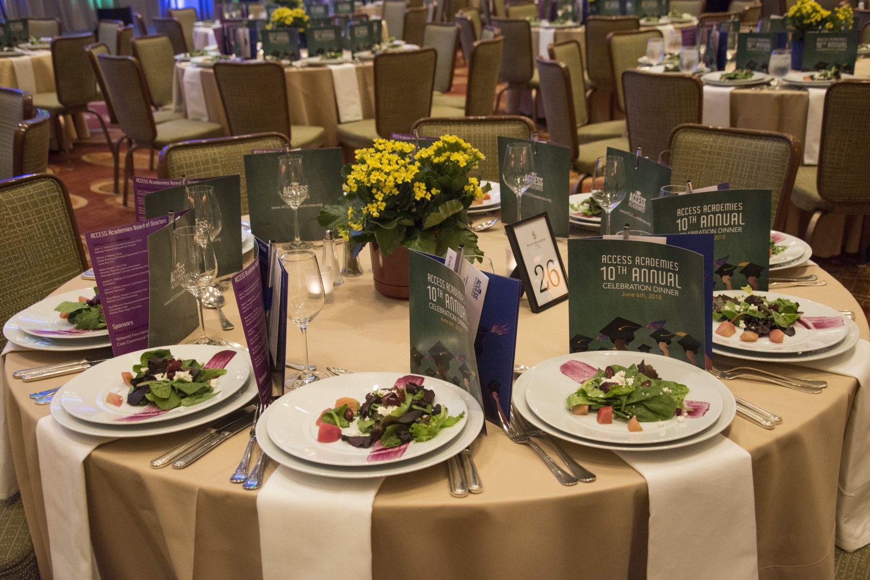 ACCESS Academies Celebration Dinner